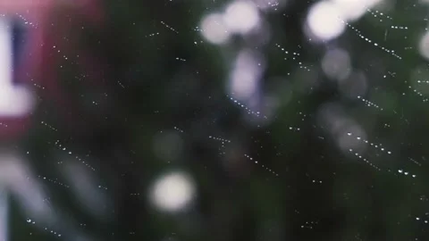 Rain falling on the window surface Stock Footage 136219555