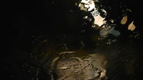 Rain falling on a windshield at night Stock Footage 343734003