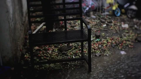 Rain that falls in the afternoon Stock Footage 208655084