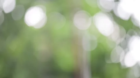Rain falls on the background bokeh of summer green garden. Stock Footage 141190954