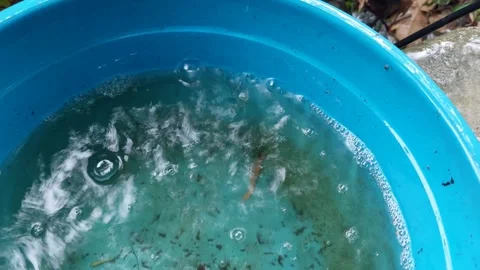 Rain falls into a basin Stock Footage 292458455