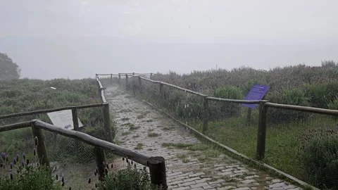 Rain falls on a brick walkway (another angle) Video stock 271097653
