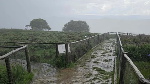 Rain falls on a brick walkway Video stock 271097607