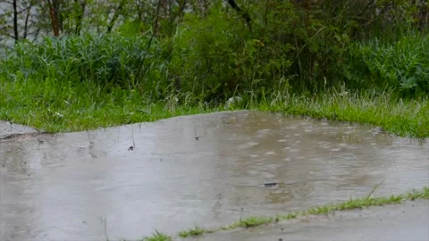 Rain falls on the concrete grasses Stock Footage 187440317