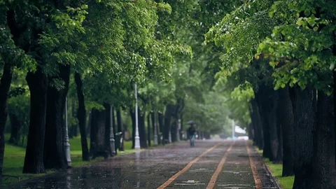 Rain falls down on a bicycle track in summer season 스톡 동영상 79066837