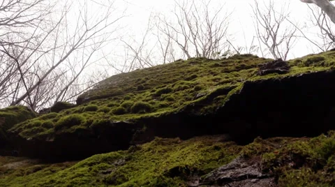 The rain falls down on to the green stone Stock Footage 36274401