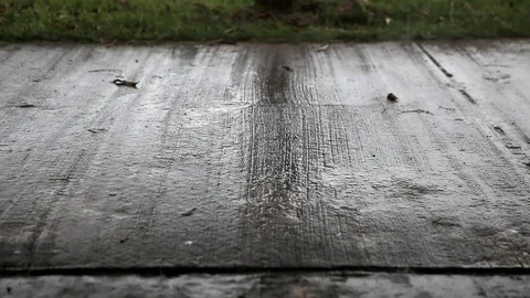 Rain falls on the floor Stock Footage 76645735