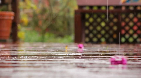 Rain falls on flowers rack focus wooden deck Stock Footage 45734188