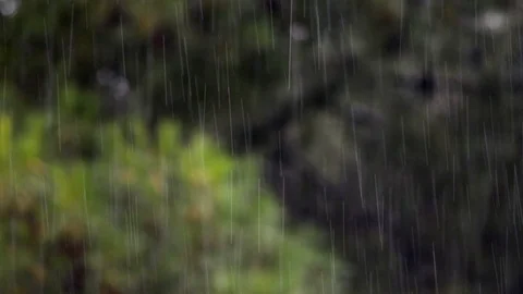 Rain falls Stock Footage 97825784