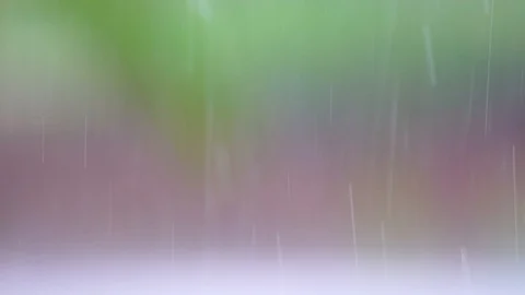 Rain falls in the garden The background is a tree with light sunshine. chiang Stock Footage 86485387