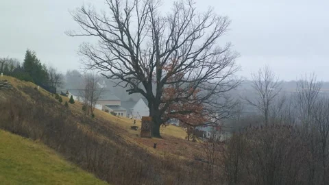 Rain falls gently over suburban homes filling the air with a peaceful ambiance. Video stock 302117938