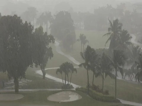 Rain falls on a golf course Stock Footage