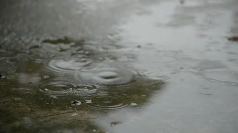 Rain falls to the ground Stock Footage 52455598