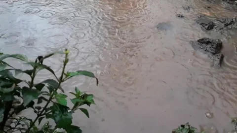 Rain falls to the ground making muddy puddles in the garden Stock Footage 291793863
