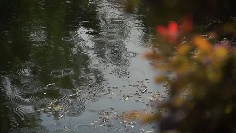 Rain falls on the lake Vídeo Stock 139384508