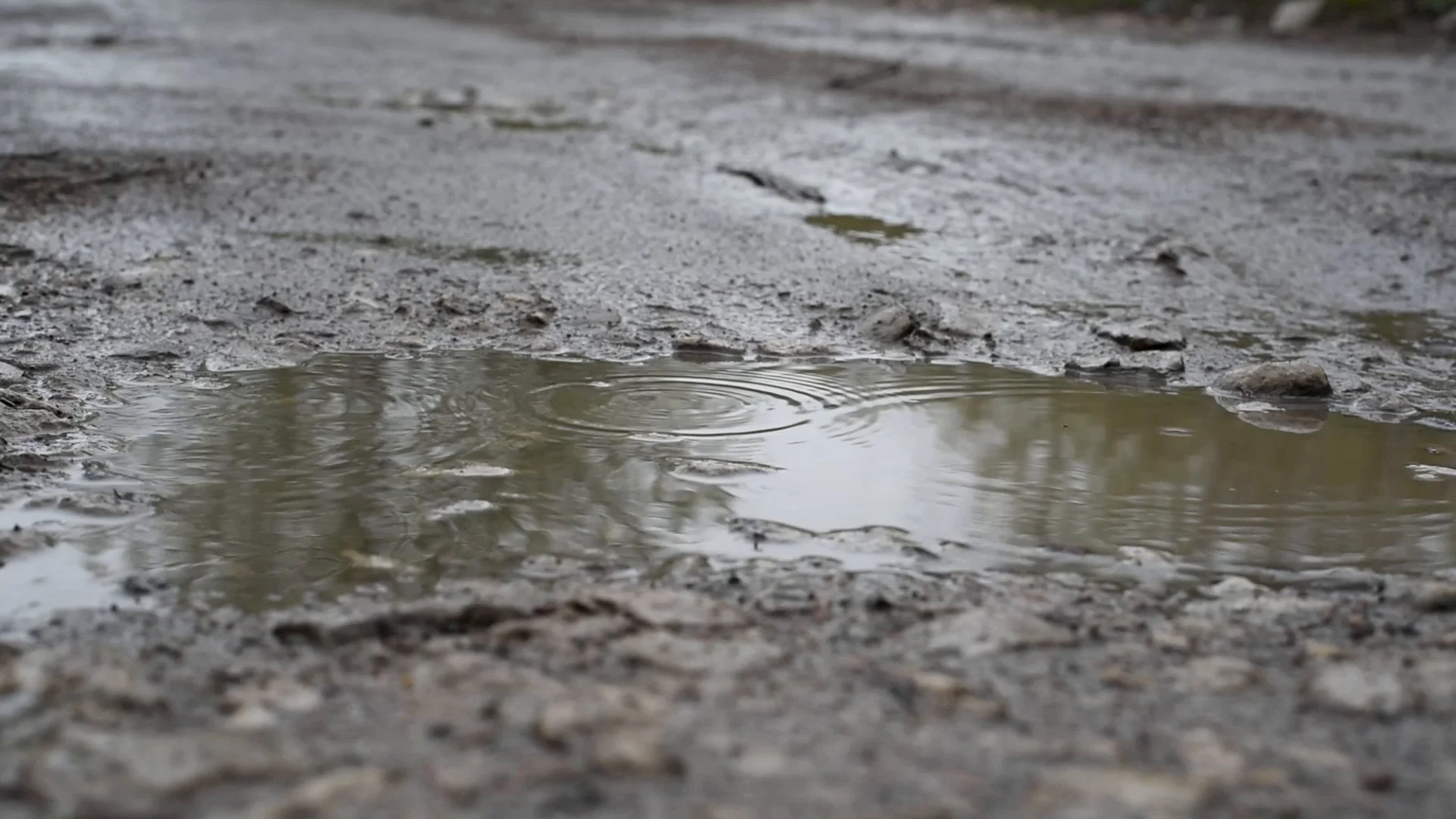 Mud puddle visuals