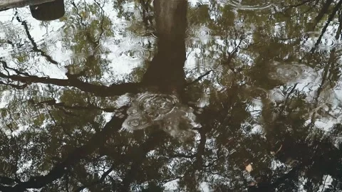Rain falls into a muddy puddle on the asphalt, creating ripple texture circles Stock Footage 163918674
