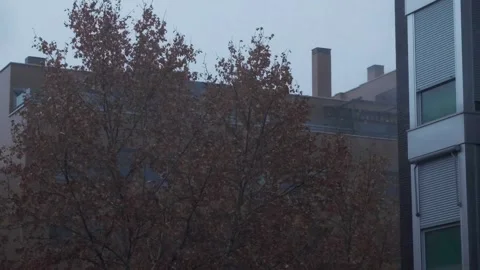 Rain falls next to an apartment block Stock Footage 259221703