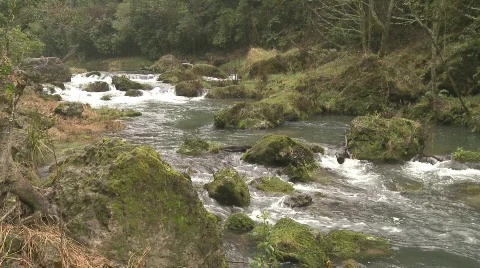 Rain falls over stream Stock Footage 799400