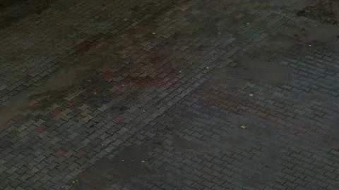 Rain falls on the pavement tiles Stock Footage 226945713