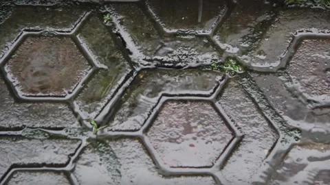 Rain falls on the paving block tiles Vidéo 232372278