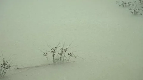 Rain falls on the pond and grass 스톡 동영상 312546059