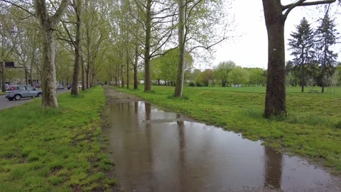 Rain falls into a puddle in a public park Stock Footage 311457938