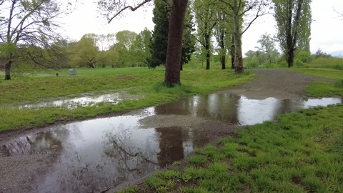 Rain falls into a puddle in a public park Stock Footage 311458032