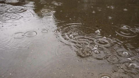 Rain falls on the sidewalk in a puddle of water. Stock Footage 116594438
