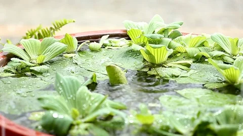 Rain falls in the sink Stock Footage 76507157