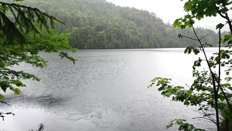 Rain falls steadily on a quiet lake surrounded by lush green forests Stock-Footage 310292892