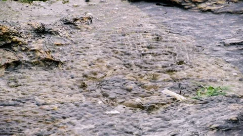 The rain falls on the stone surface Video stock 91298840