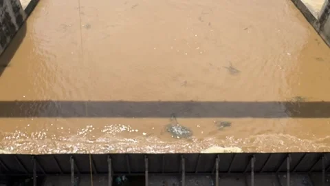 Rain-Fed Water Flow Through Naraj Barrage on Mahanadi River, Cuttack Stock Footage 344633855