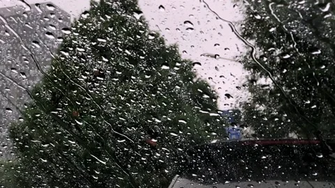 Rain fell Video stock 168604565