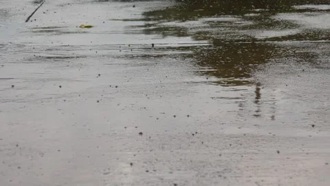 The rain that fell wet the streets Stock Footage 306741291