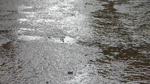 The rain that fell wet the streets Stock Footage 306741372