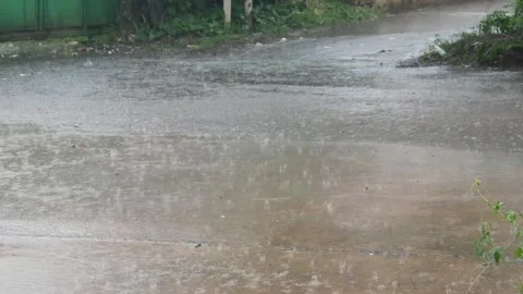 The rain that fell wet the streets Stock Footage 306741381