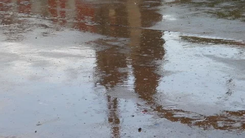 The rain that fell wet the streets Stock Footage 306741383