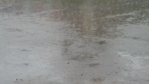 The rain that fell wet the streets Stock Footage 306741473