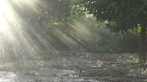 Rain In The Field 2 Vidéo 32427520