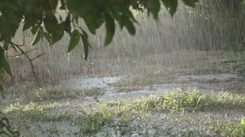 Rain In The Field Stockbeeldmateriaal 32426352