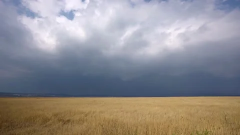 Rain in fields or meadows in the afternoon Stock Footage 242788952