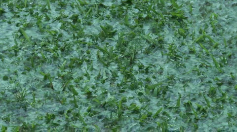Rain flood lawn Stock Footage 702049