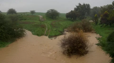 Rain Flood River Nature Vídeos de archivo 45756280