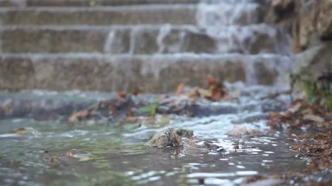 The rain flooded the streets. The rain flooded the streets. Flood in the rain Stock Footage 211821389