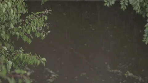 Rain, floods Video stock 79133164