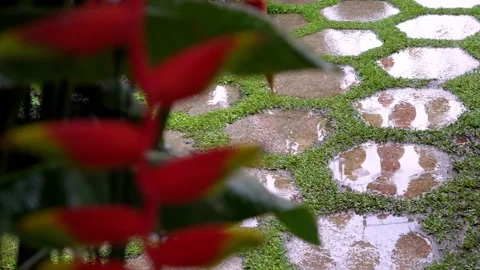 Rain at floor in reflection Stock Footage 150204630