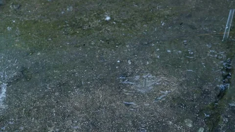 Rain on floor wall cement street, effect storm fall rainy absatract Stock Footage 338216043