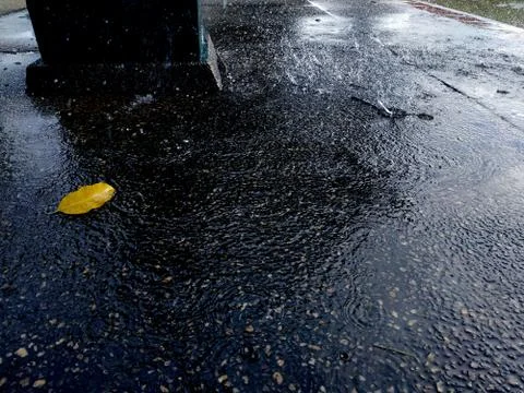 Rain on the floors Stock Photos