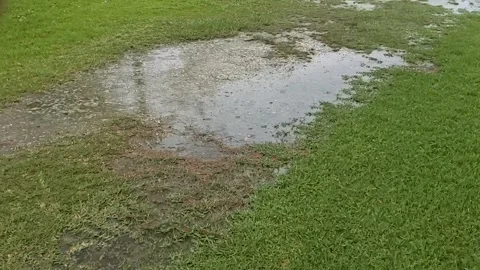Rain in Florida Stock Footage 155998339
